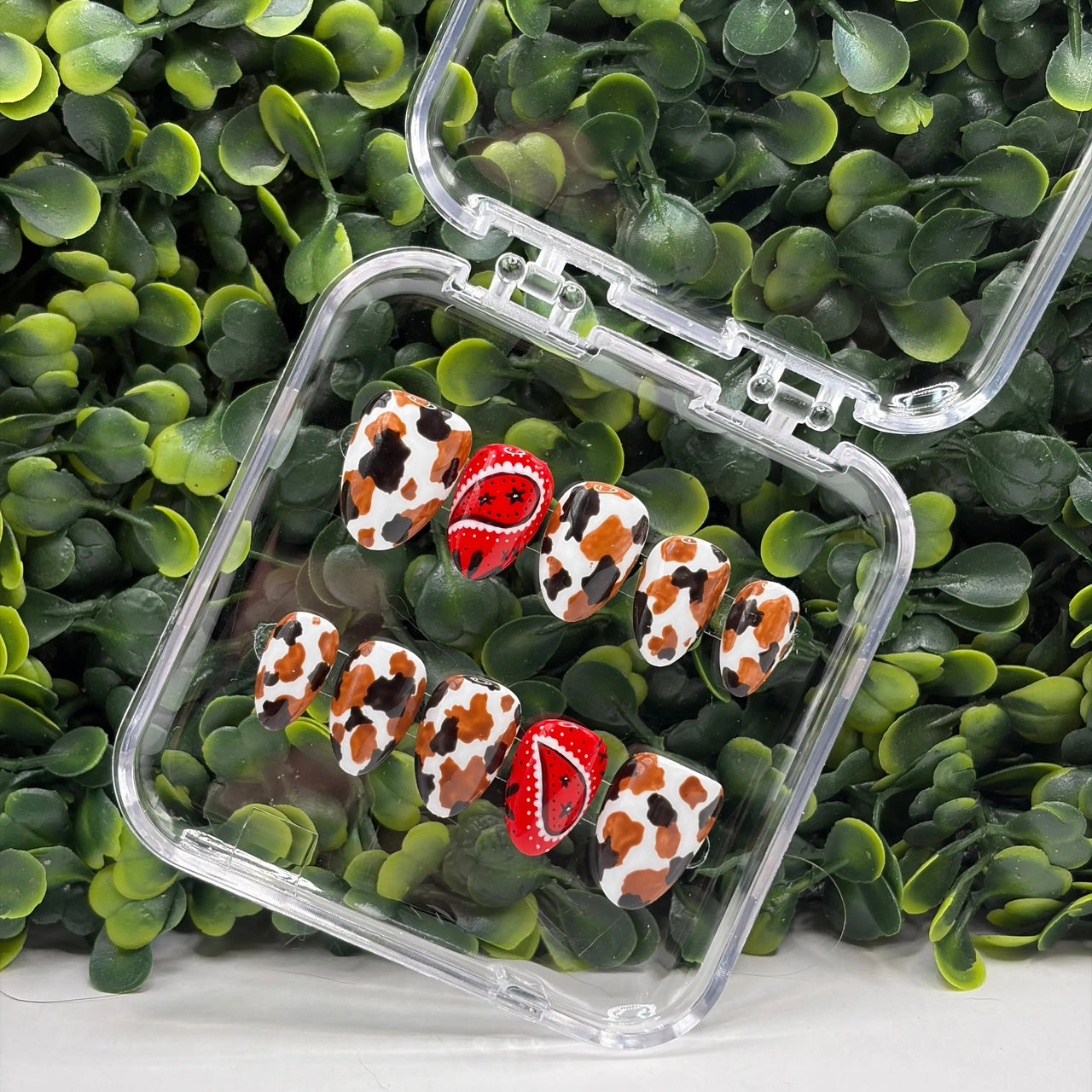 Clear container with cow-patterned items on a green leafy background