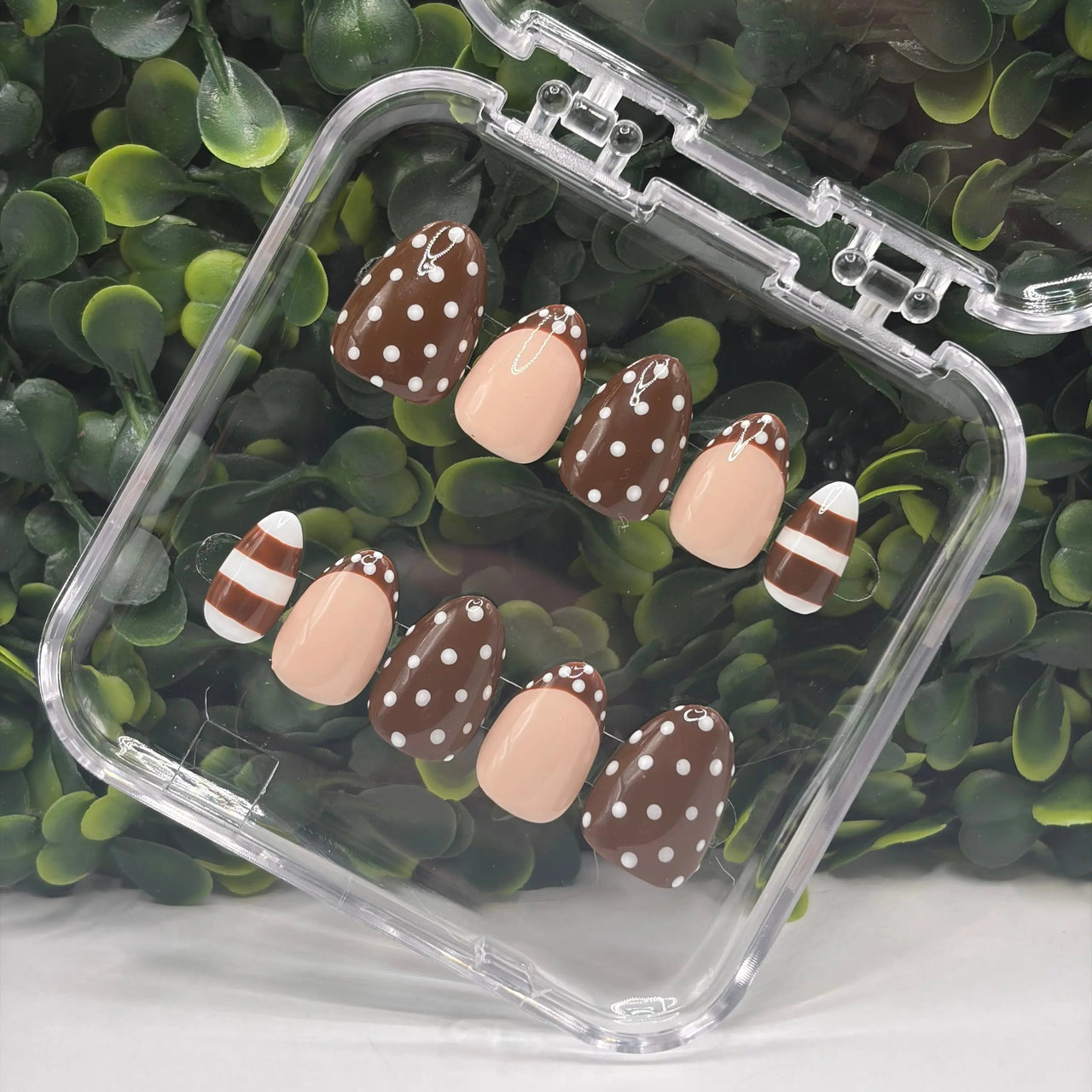Set of nail art designs in a clear case on a green leafy background